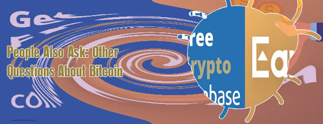 Bit coin price history