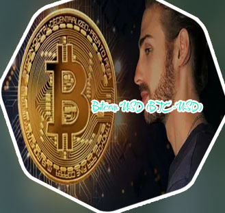 Bitcoin valor
