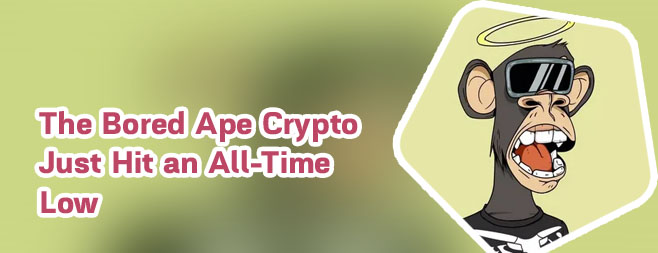 Crypto ape