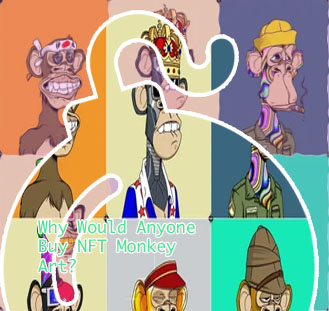Crypto monkey