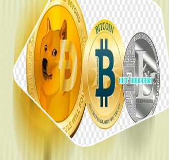 Inu coin cryptocurrency
