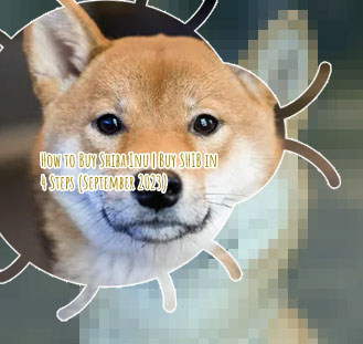 Shiba inu crypto where to buy