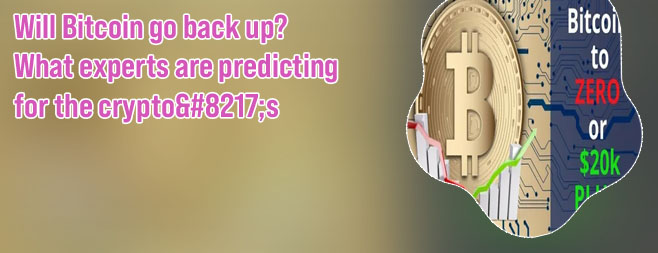 Will bitcoin go back up